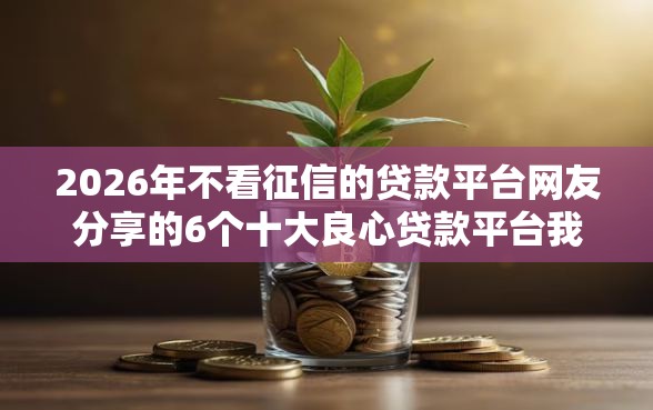 2026年不看征信的贷款平台网友分享的6个十大良心贷款平台我觉得不错！