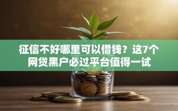 征信不好哪里可以借钱？这7个网贷黑户必过平台值得一试