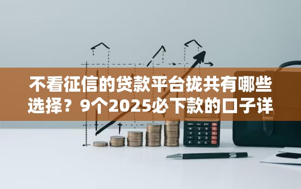 不看征信的贷款平台拢共有哪些选择？9个2025必下款的口子详解