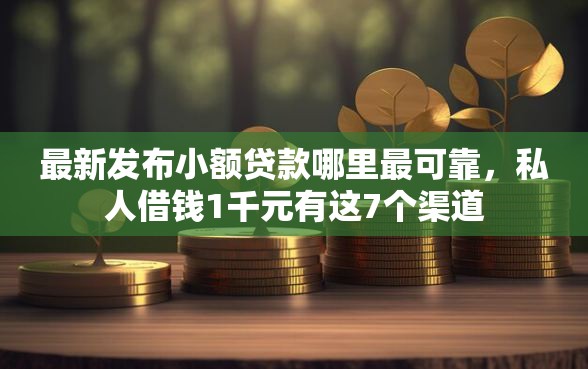 最新发布小额贷款哪里最可靠，私人借钱1千元有这7个渠道