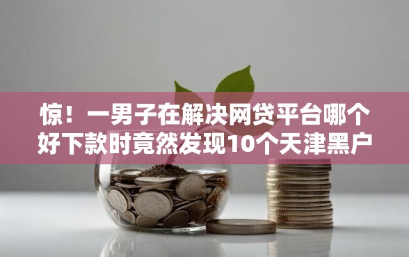 惊！一男子在解决网贷平台哪个好下款时竟然发现10个天津黑户必下款的口子，事后分享了出来