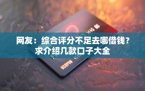 网友：综合评分不足去哪借钱？求介绍几款口子大全
