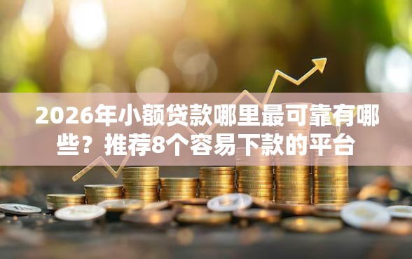 2026年小额贷款哪里最可靠有哪些？推荐8个容易下款的平台