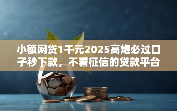 小额网贷1千元2025高炮必过口子秒下款，不看征信的贷款平台的6个平台介绍