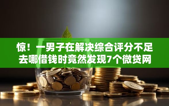 惊！一男子在解决综合评分不足去哪借钱时竟然发现7个微贷网是什么网贷平台，事后分享了出来