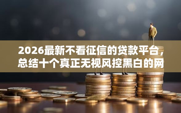 2026最新不看征信的贷款平台，总结十个真正无视风控黑白的网贷口子！