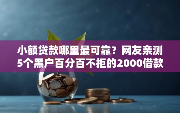 小额贷款哪里最可靠？网友亲测5个黑户百分百不拒的2000借款口子盘点