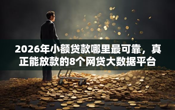 2026年小额贷款哪里最可靠，真正能放款的8个网贷大数据平台推荐