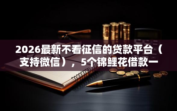 2026最新不看征信的贷款平台（支持微信），5个锦鲤花借款一样的平台无私分享