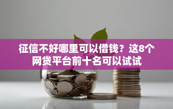 征信不好哪里可以借钱？这8个网贷平台前十名可以试试