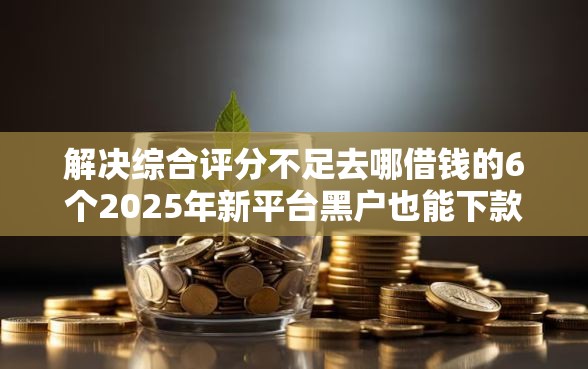 解决综合评分不足去哪借钱的6个2025年新平台黑户也能下款这种分享