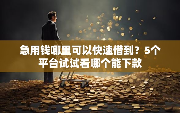 急用钱哪里可以快速借到？5个平台试试看哪个能下款