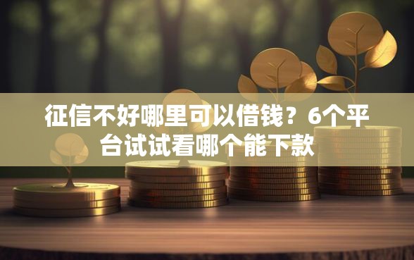 征信不好哪里可以借钱？6个平台试试看哪个能下款