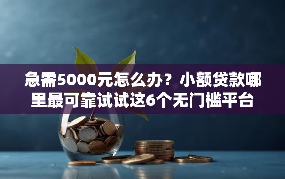 急需5000元怎么办?小额贷款哪里最可靠试试这6个无门槛平台 急需5000元怎么办?小额贷款哪里最可靠试试这6个无门槛平台