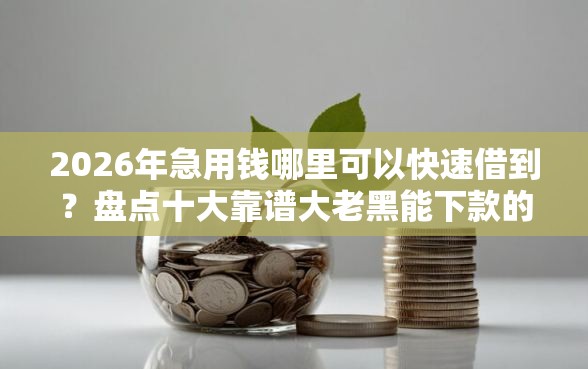 2026年急用钱哪里可以快速借到？盘点十大靠谱大老黑能下款的口子